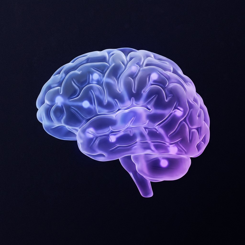 Neural Network